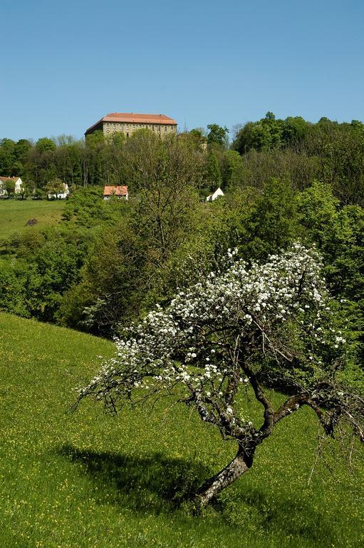 Gasthof Adler Schillingsfuerst Екстер'єр фото